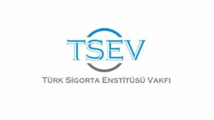 Türk Sigorta Enstitüsü Vakfı TSEV Bursu