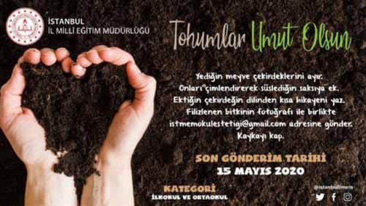 İstanbul İl Milli Eğitim Tohumlar Umut Olsun Hikaye Yarışması
