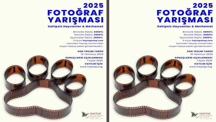 HAYTAP Sahipsiz Hayvanlar Ve Masumiyet Fotoğraf Yarışması