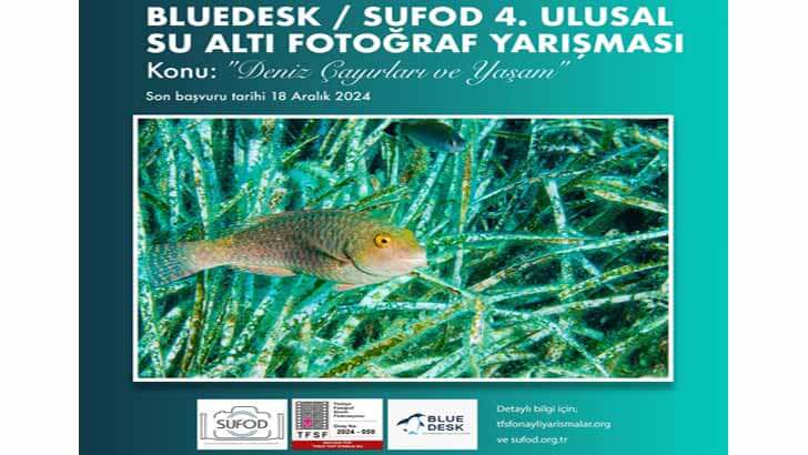 Ulusal Su Altı Fotoğraf Yarışması Deniz Çayırları ve Yaşam